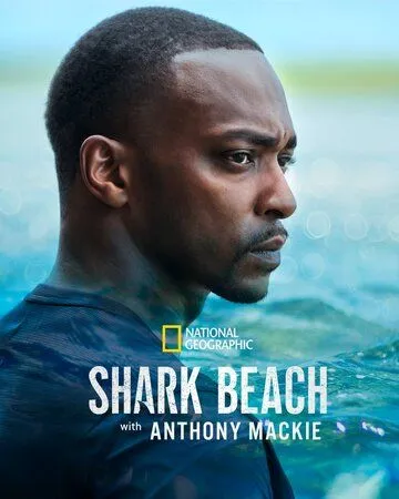 Акулий пляж с Энтони Маки / Shark Beach with Anthony Mackie (2024) фильм скачать через торрент в хорошем качестве
