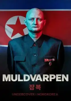Крот: Под прикрытием в Северной Корее / The Mole: Undercover in North Korea (2020) фильм скачать через торрент в хорошем качестве