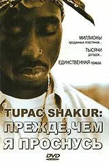 Tupac Shakur: Прежде, чем я проснусь / Tupac Shakur: Before I Wake... (2001) фильм скачать через торрент в хорошем качестве