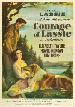 Храбрость Лэсси / Courage of Lassie (1946) фильм скачать через торрент в хорошем качестве