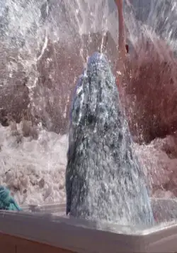 Горные акулы (2014) через торрент скачать Горные акулы (2014) фильм через торрент скачать