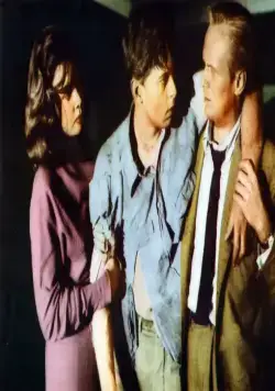 Паутина (1955) в хорошем качестве через торрент Паутина (1955) фильм в хорошем качестве через торрент