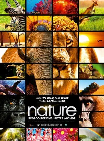 Скачать Заколдованное королевство 3D / Enchanted Kingdom 3D (2014) фильм через торрент на русском