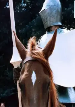 Ланселот Озёрный (1974) через торрент бесплатно Ланселот Озёрный (1974) фильм через торрент бесплатно