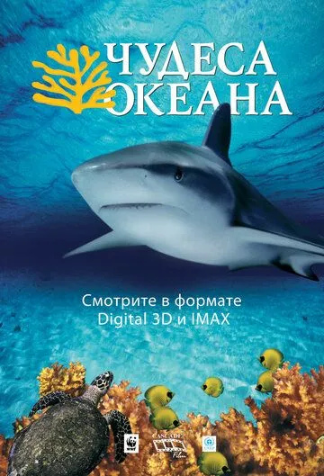 Чудеса океана 3D / Ocean Wonderland (2003) фильм скачать через торрент в хорошем качестве