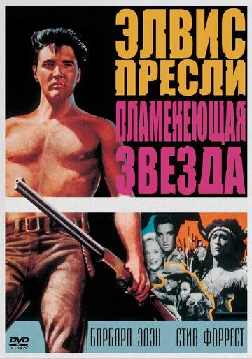 Пламенеющая звезда / Flaming Star (1960) фильм скачать через торрент в хорошем качестве