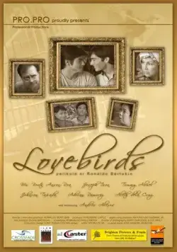 Влюблённые пташки / Lovebirds (2008) фильм скачать через торрент в хорошем качестве