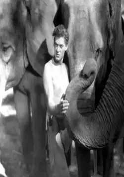 Тарзан: Человек-обезьяна (1932) в хорошем качестве через торрент Тарзан: Человек-обезьяна (1932) фильм в хорошем качестве через торрент