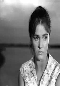 Дверь без замка (1973) через торрент бесплатно Дверь без замка (1973) фильм через торрент бесплатно