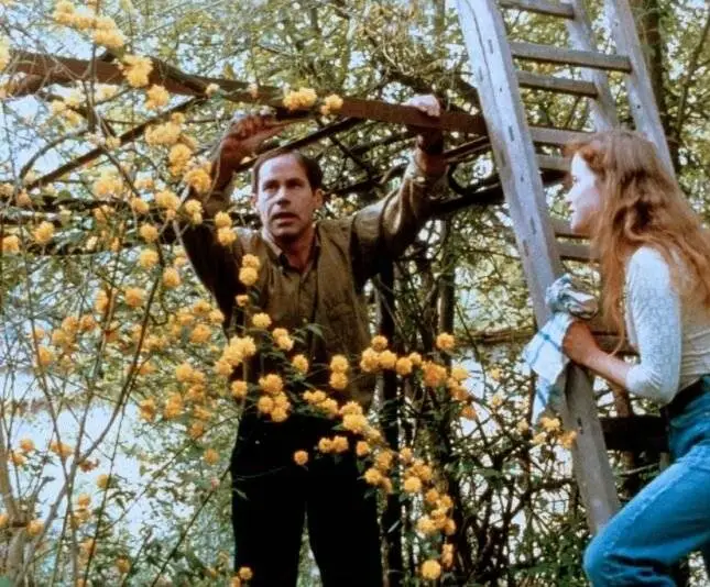 Весенняя сказка (1989) в хорошем качестве через торрент Весенняя сказка (1989) фильм в хорошем качестве через торрент