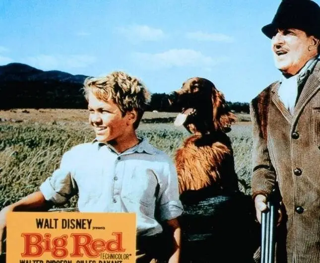 Большой Ред (1962) через торрент бесплатно Большой Ред (1962) фильм через торрент бесплатно