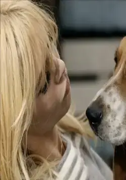 Две недели в сентябре (1967) в хорошем качестве через торрент Две недели в сентябре (1967) фильм в хорошем качестве через торрент