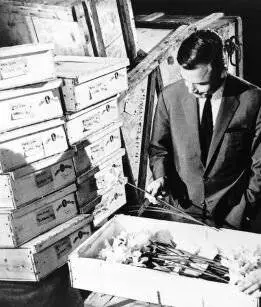 Тайна золотистых нарциссов (1961) в хорошем качестве через торрент Тайна золотистых нарциссов (1961) фильм в хорошем качестве через торрент