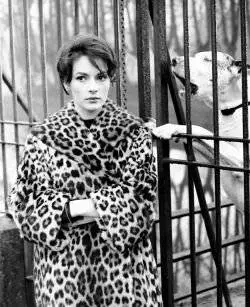 Зеленый лучник (1961) через торрент бесплатно Зеленый лучник (1961) фильм через торрент бесплатно