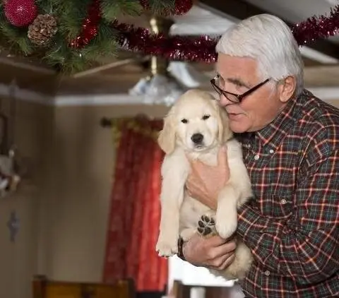 Рождество с Такером (2013) через торрент бесплатно Рождество с Такером (2013) фильм через торрент бесплатно