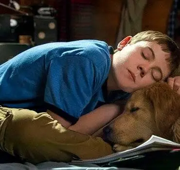 Рождество с Такером (2013) через торрент скачать Рождество с Такером (2013) фильм через торрент скачать