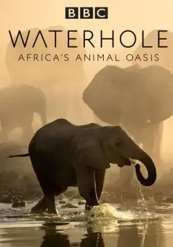 BBC. Водопой: Африканский Оазис для Животных / Waterhole: Africa's Animal Oasis (2020) сериал скачать через торрент в хорошем качестве