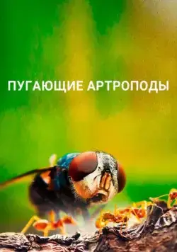 Пугающие артроподы / Creepy Crawlies (2021) сериал скачать через торрент в хорошем качестве
