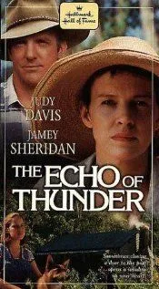 Раскаты грома / The Echo of Thunder (1998) фильм скачать через торрент в хорошем качестве