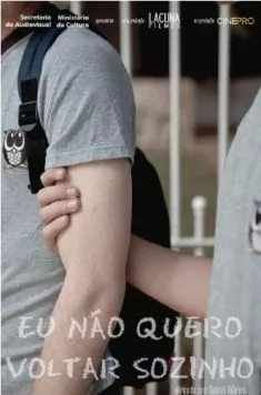 Я не хочу возвращаться один / Eu Não Quero Voltar Sozinho (2010) фильм скачать через торрент в хорошем качестве