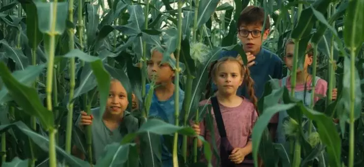 Поле чудес (2025) в хорошем качестве через торрент Поле чудес (2025) фильм в хорошем качестве через торрент