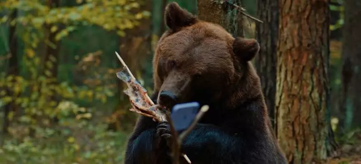 Мой папа - медведь (2025) через торрент скачать Мой папа - медведь (2025) фильм через торрент скачать