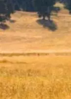 Жизнь обетованная (2002) в хорошем качестве через торрент Жизнь обетованная (2002) фильм в хорошем качестве через торрент