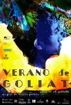 Лето Голиафа / Verano de Goliat (2010) фильм скачать через торрент в хорошем качестве