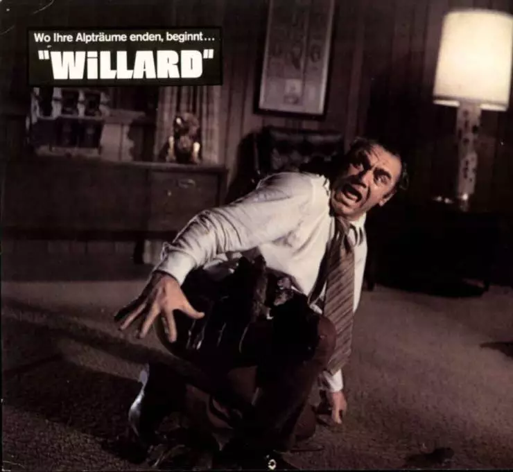 Уиллард (1971) через торрент скачать Уиллард (1971) фильм через торрент скачать
