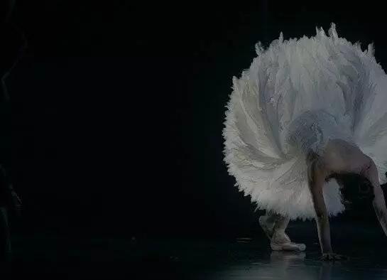 TheatreHD: Лебединая песня (2023) через торрент бесплатно TheatreHD: Лебединая песня (2023) фильм через торрент бесплатно