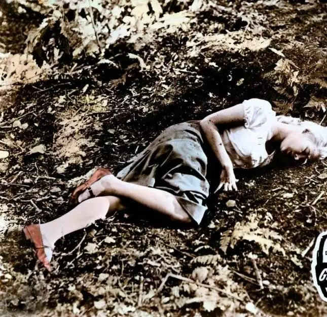 Пэйтон Плейс (1957) через торрент бесплатно Пэйтон Плейс (1957) фильм через торрент бесплатно