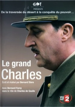 Великий Шарль / Le Grand Charles (2006) сериал скачать через торрент в хорошем качестве