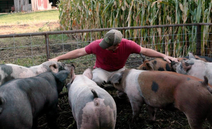 Корпорация «Еда» 2 (2023) через торрент скачать Корпорация «Еда» 2 (2023) фильм через торрент скачать