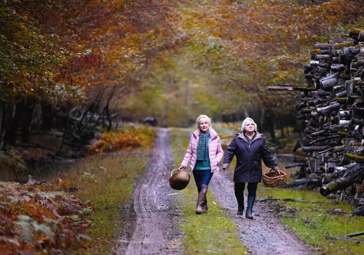Что случилось осенью (2024) через торрент скачать Что случилось осенью (2024) фильм через торрент скачать