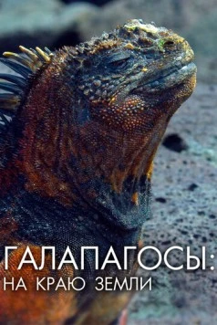 Галапагосы: На краю земли / Galapagos: The Edge of the World (2018) сериал скачать через торрент в хорошем качестве