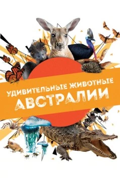 Удивительные животные Австралии / Australian Geographic Extraordinary Animals (2024) сериал скачать через торрент в хорошем качестве