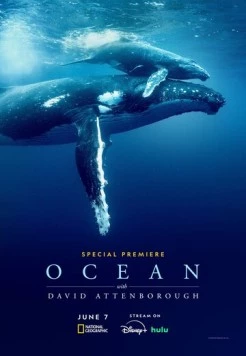 Дэвид Аттенборо: Океан / Ocean with David Attenborough (2025) фильм скачать через торрент в хорошем качестве