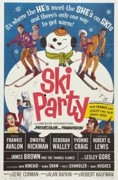 Веселье на лыжах / Ski Party (1965) фильм скачать через торрент в хорошем качестве