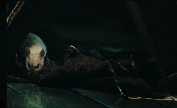 Последняя лента (2023) через торрент скачать Последняя лента (2023) фильм через торрент скачать