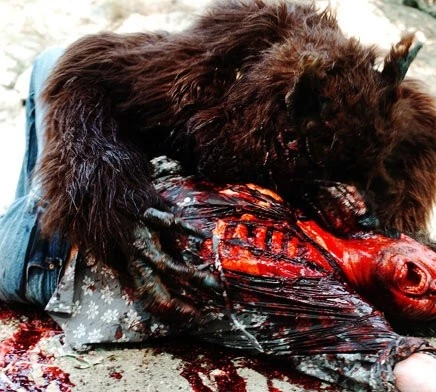 Ужасный волк (2009) через торрент скачать Ужасный волк (2009) фильм через торрент скачать