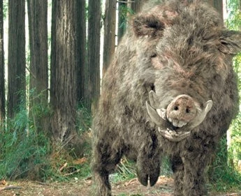 Кабан-убийца (2009) через торрент скачать Кабан-убийца (2009) фильм через торрент скачать