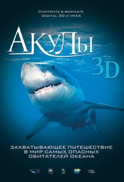 Акулы 3D / Sharks 3D (2004) фильм скачать через торрент в хорошем качестве