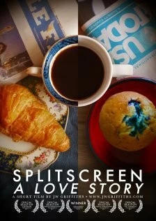 История любви на разделенном экране / Splitscreen: A Love Story (2011) фильм скачать через торрент в хорошем качестве