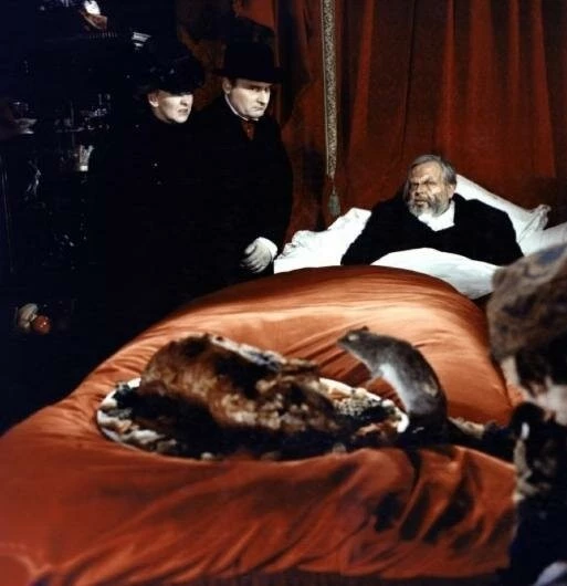 Мальпертюи (1971) в хорошем качестве через торрент Мальпертюи (1971) фильм в хорошем качестве через торрент