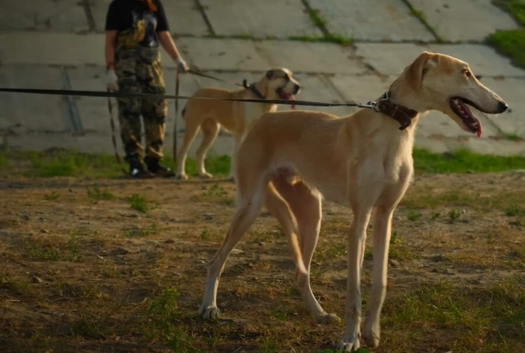 В ответе (2021) через торрент скачать В ответе (2021) фильм через торрент скачать