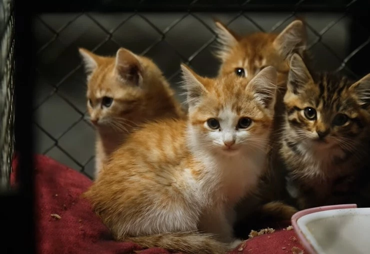 В ответе (2021) через торрент бесплатно В ответе (2021) фильм через торрент бесплатно