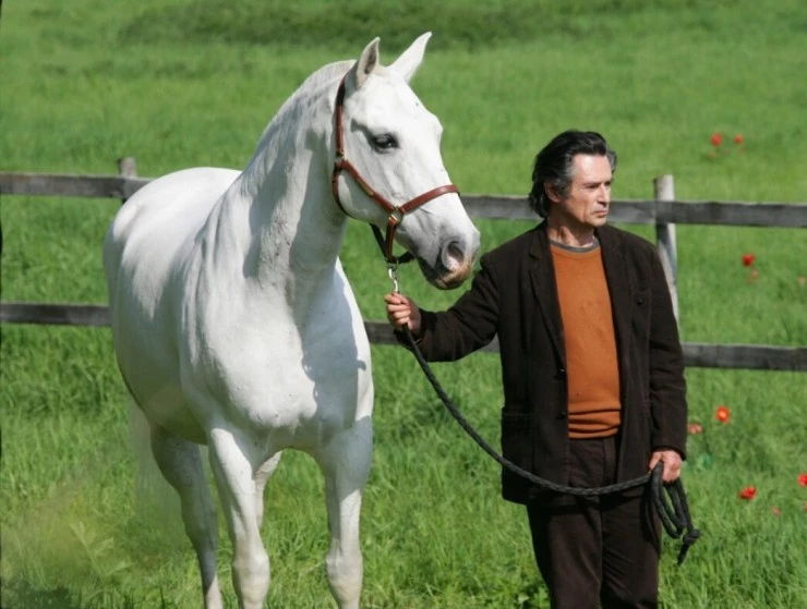 Танцуй с ним (2007) через торрент скачать Танцуй с ним (2007) фильм через торрент скачать