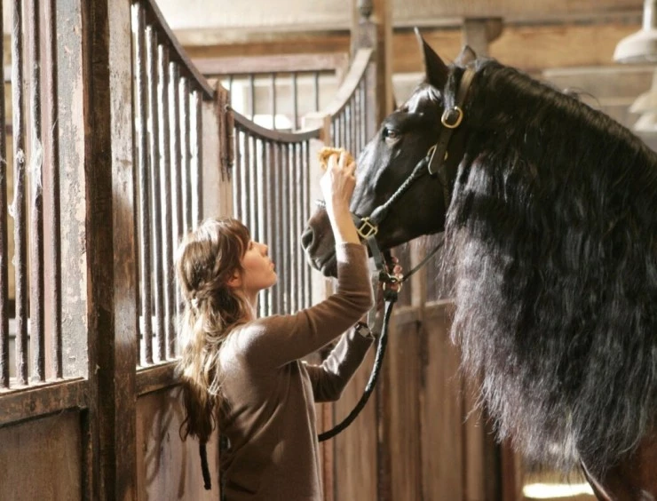 Танцуй с ним (2007) в хорошем качестве через торрент Танцуй с ним (2007) фильм в хорошем качестве через торрент