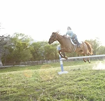 Штормовой наездник (2013) через торрент скачать Штормовой наездник (2013) фильм через торрент скачать