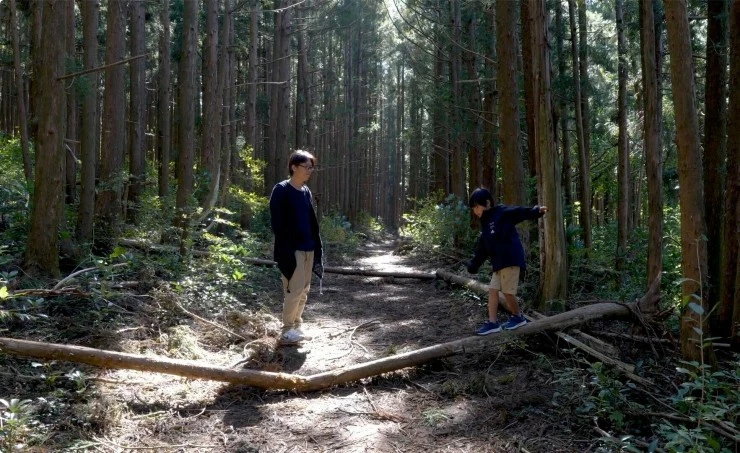 Обещание (2023) через торрент бесплатно Обещание (2023) фильм через торрент бесплатно